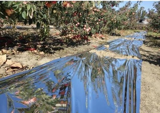 Apple Tree Greenhouse ฟิล์มเกษตร 12 ไมครอนย่อยสลายได้ทางชีวภาพ