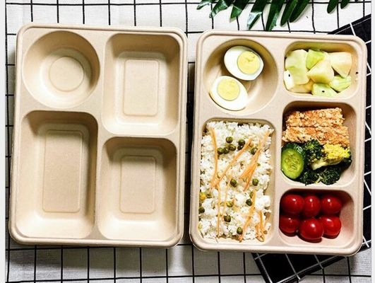 กล่องอาหารกลางวันแบบใช้แล้วทิ้งสี่กริดกล่องอาหารกลางวัน Takeaway ที่ย่อยสลายได้ทางชีวภาพ