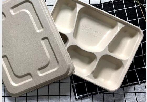 FDA 6 ช่องใส่อาหารบนโต๊ะอาหารที่ย่อยสลายได้ฟางข้าวสาลีกล่องอาหารกลางวันแบบใช้แล้วทิ้ง