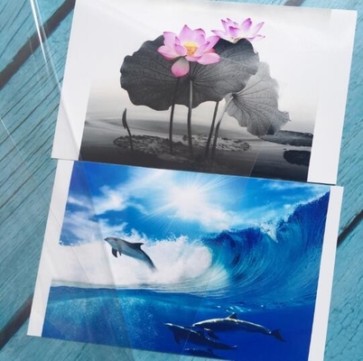 3D Cat Eye Film Photo Cold Laminated Film, Transparent Three-Dimensional Home Decoration Film ภาพถ่ายหนัง 3 มิติ 3 มิติ 3 มิติ 3 มิติ 3 มิติ