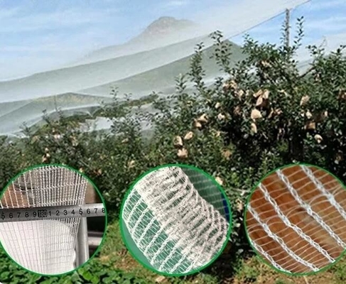 100% PE สีขาวใส สีเรือนกระจก Anti Insect Net สําหรับพืชและองุ่น