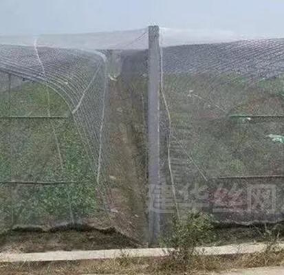 40 50 60 Mesh 125g การเกษตรเรือนกระจก Anti-Insect Net ด้วยการพิมพ์ที่ยอมรับ