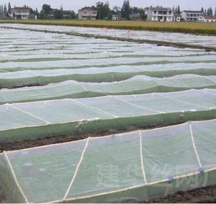 40 50 60 Mesh 125g การเกษตรเรือนกระจก Anti-Insect Net ด้วยการพิมพ์ที่ยอมรับ