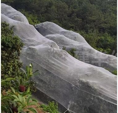 100% PE สีขาวใส สีเรือนกระจก Anti Insect Net สําหรับพืชและองุ่น